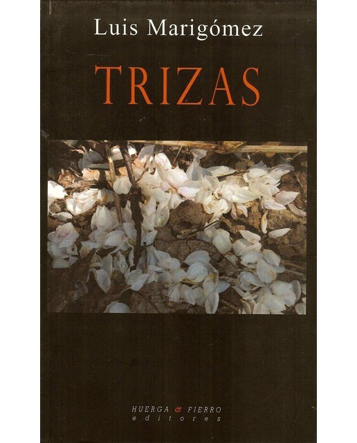 Trizas 1