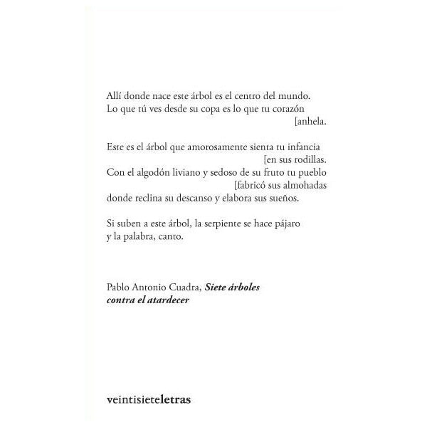Siete arboles contra el atardece (Tapa blanda con solapas) 1