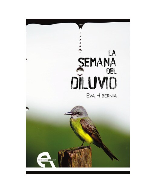 Imagen 0 de La semana del diluvio (Tapa blanda)