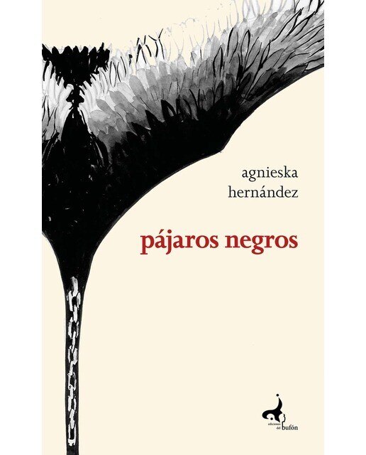 Imagen 0 de Pájaros negros  (Tapa blanda)