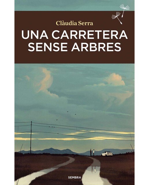 Una carretera sense arbres 1