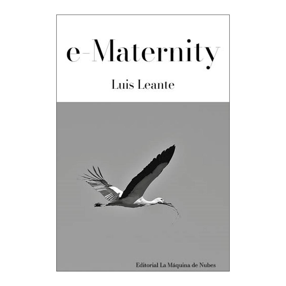 Imagen 0 de E-MATERNITY  (Tapa blanda)
