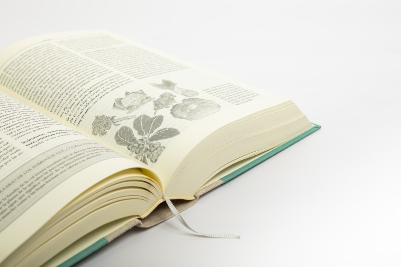 La cocina y los alimentos: Enciclopedia de la ciencia y la cultura de la comida (Tapa dura) 8