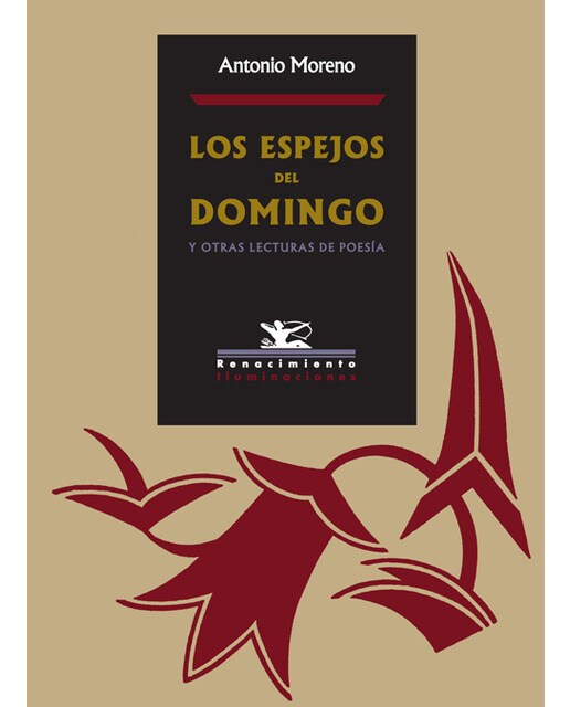 Los Espejos Del Domingo 1