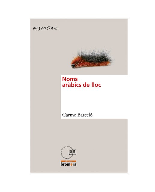 Noms aràbics de lloc(Tapa blanda) 1