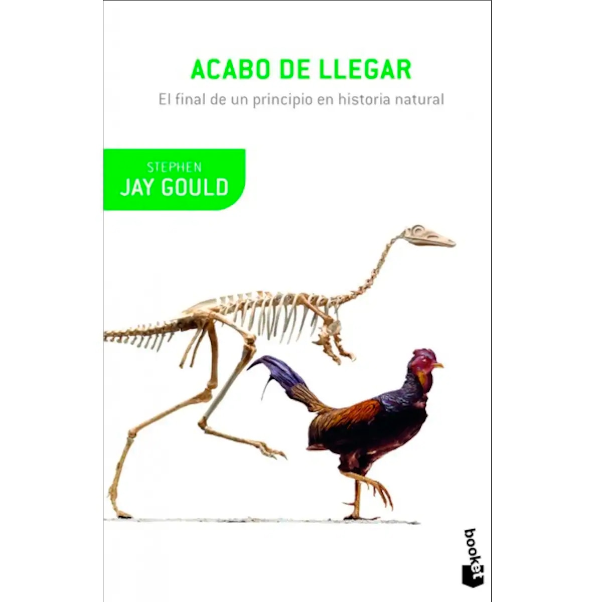 Acabo de llegar (Bolsillo) (Tapa blanda) 1