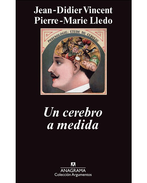 Un Cerebro A Medida 1