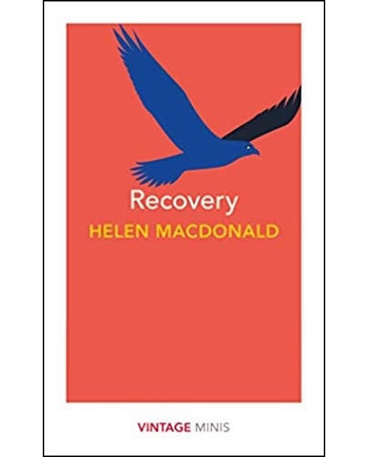 Imagem 0 de Recovery