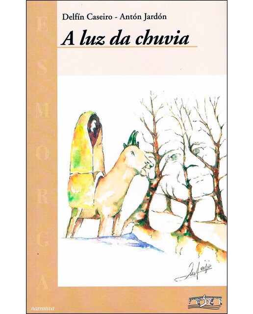 A luz da chuvia(Tapa blanda) 1
