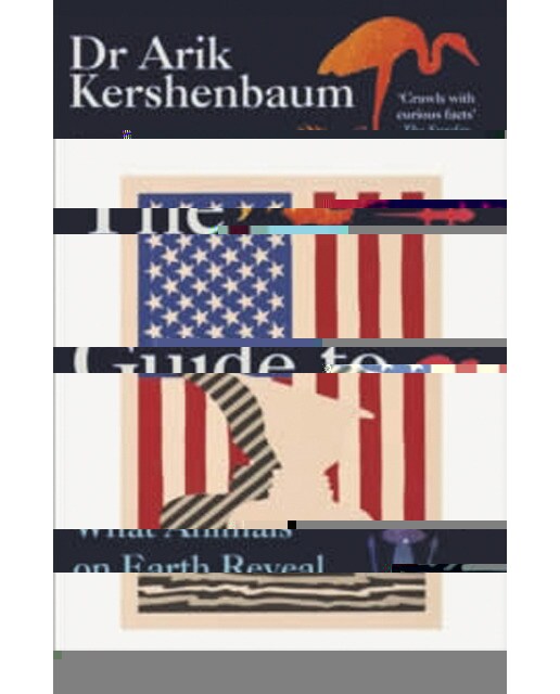 Letter from america 1