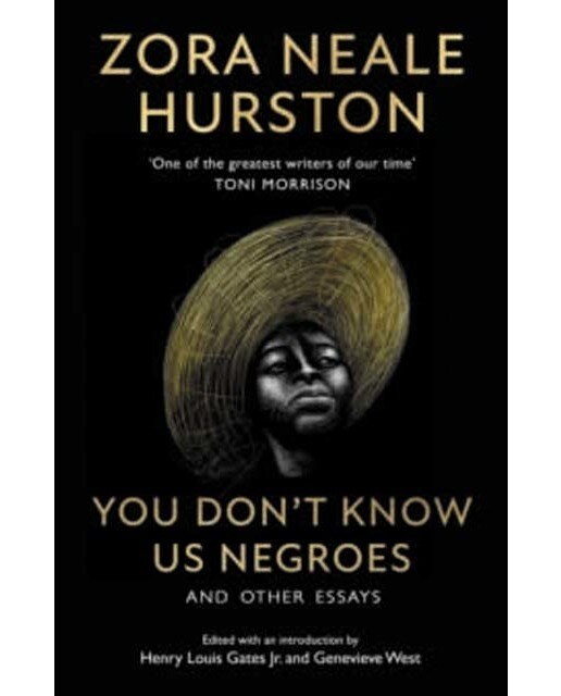 You don't know us negroes and other essays 1
