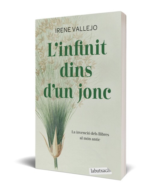 Imagen 0 de L'infinit dins d'un jonc  (Tapa blanda Bolsillo)