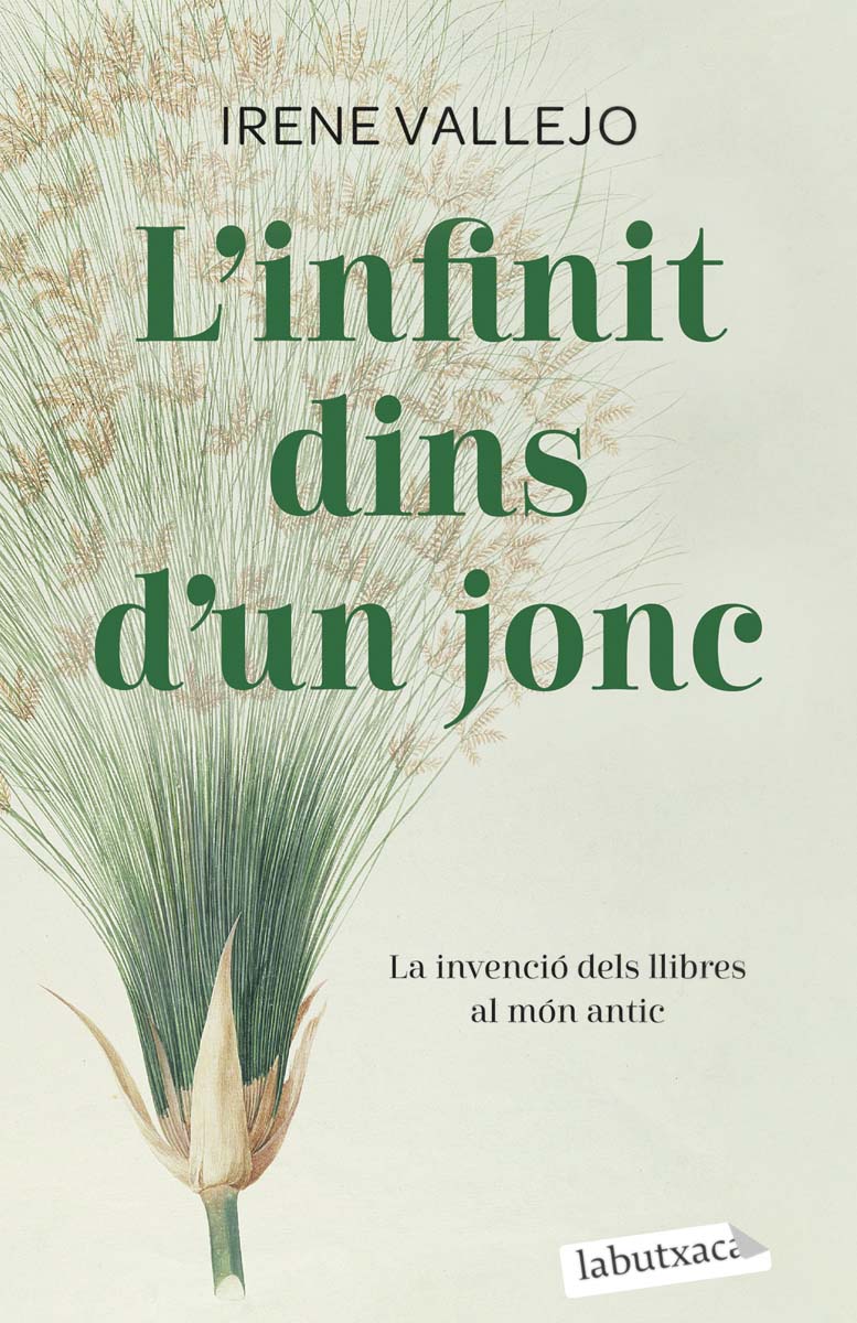 L'infinit dins d'un jonc (Tapa blanda Bolsillo) 2