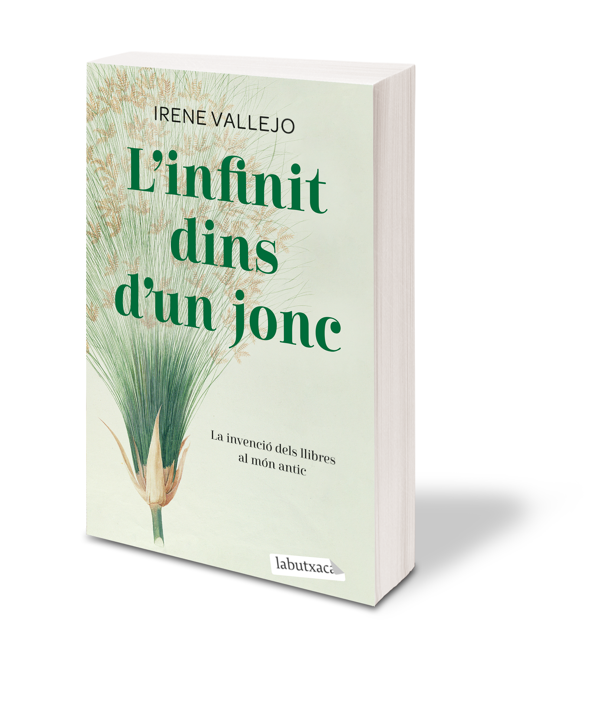 L'infinit dins d'un jonc: La invenció dels llibres al món antic 3