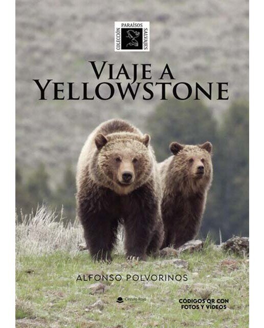 Viaje a yellowstone 1