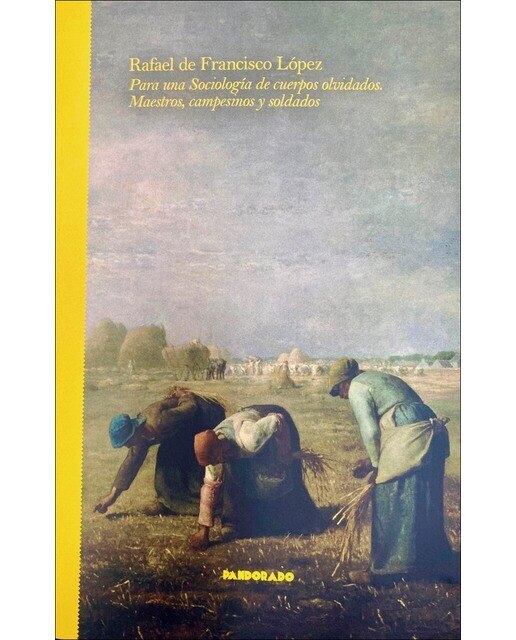 Imagen 0 de Para una sociologia de cuerpos olvidados