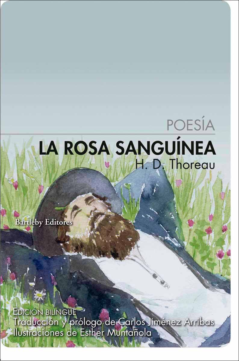 La rosa sanguinea 1