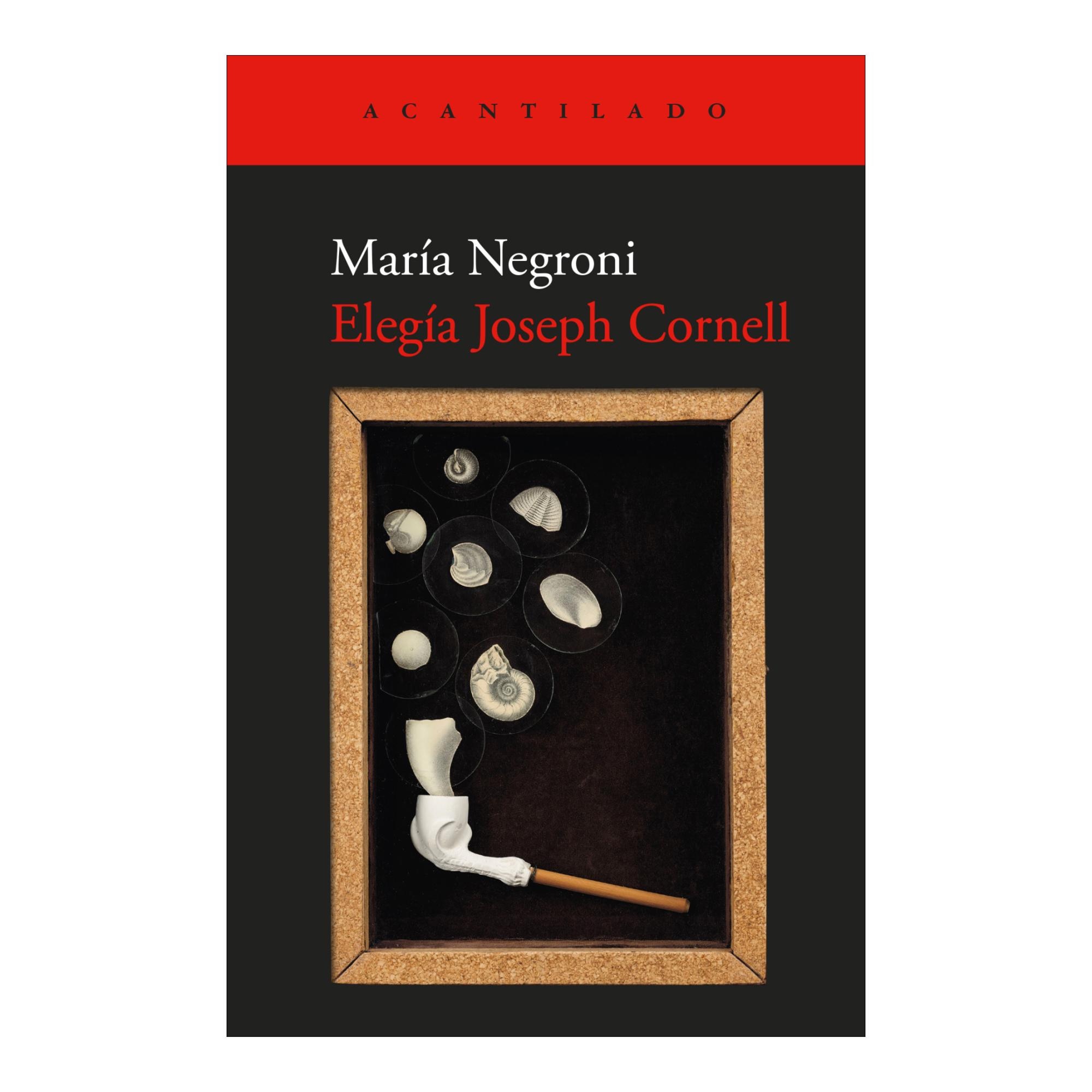 Imagem 0 de Elegía Joseph Cornell