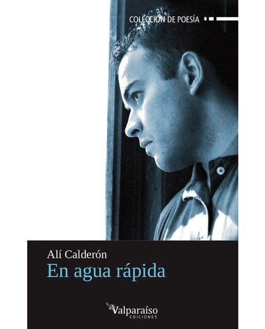 Imagen 0 de En agua rápida  (Tapa blanda Tapa blanda con solapas)