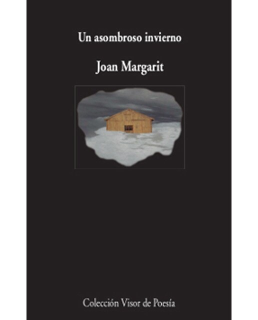 Imagen 0 de Un asombroso invierno (Tapa blanda)