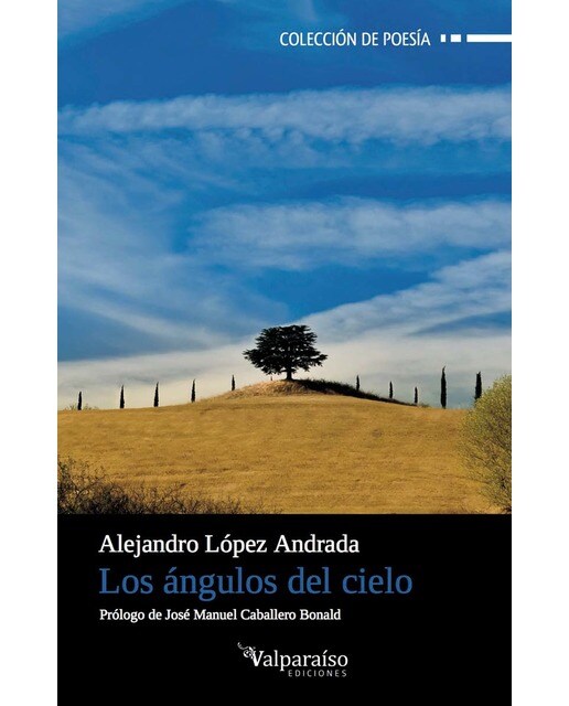 Imagen 0 de Los ángulos del cielo  (Tapa blanda Tapa blanda con solapas)