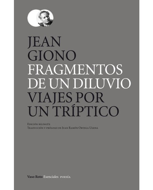 Imagen 0 de Fragmentos de un diluvio. Viajes por un tríptico (Tapa dura)