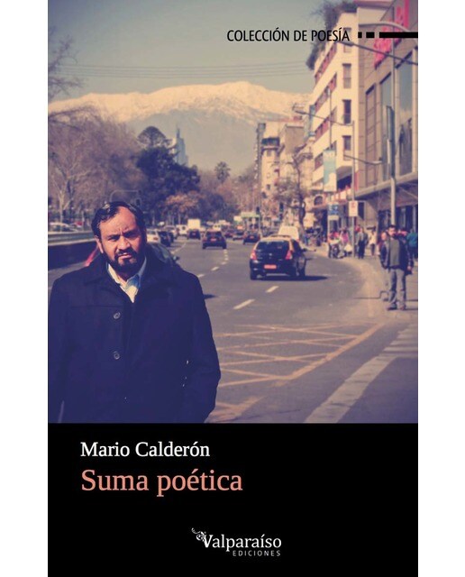 Imagen 0 de SUMA POÉTICA (Tapa blanda Tapa blanda con solapas)