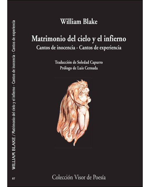 Imagen 0 de Matrimonio del cielo y del infierno (Tapa blanda Tapa blanda con solapas)