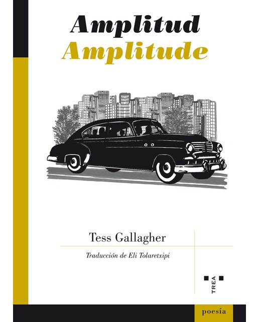 Amplitude
