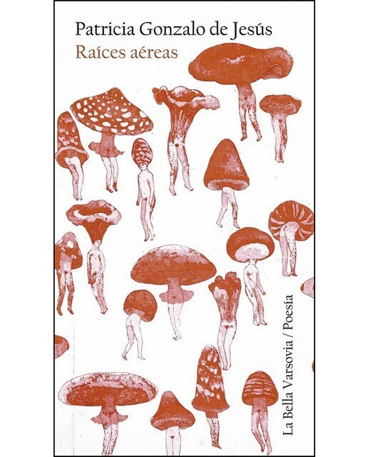 Imagen 0 de Raíces aéreas (Tapa blanda)
