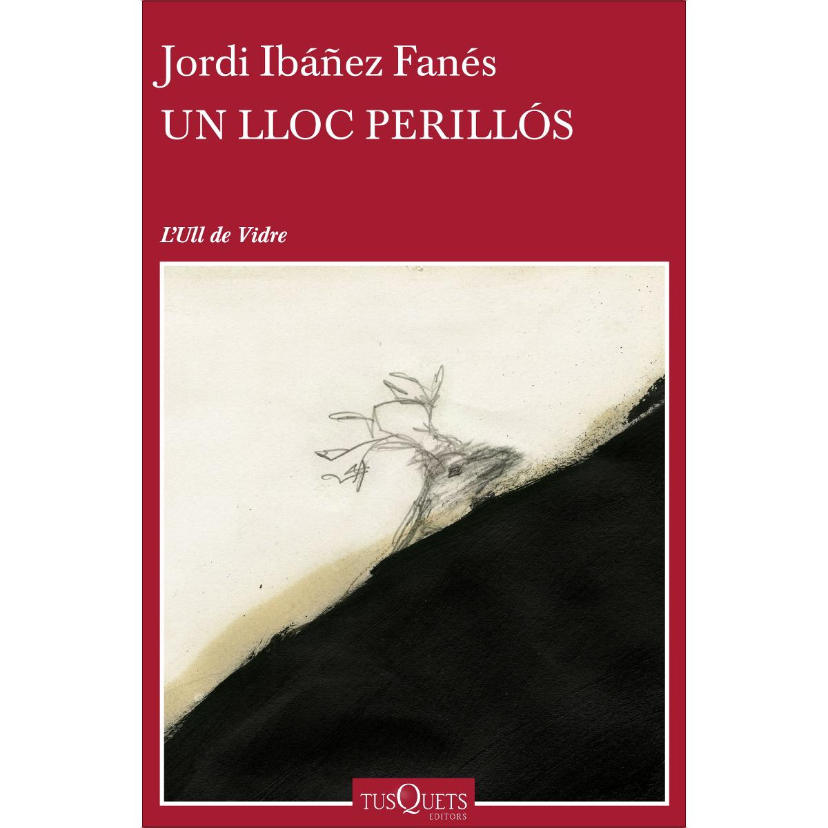 Imagen 0 de Un lloc perillós  (Tapa blanda con solapas)