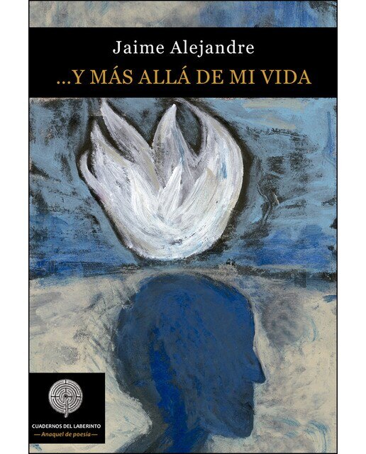 Imagen 0 de Y más allá de mi vida (Tapa blanda)
