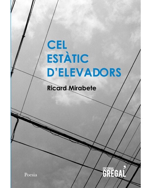 Cel estàtic d'elevadors