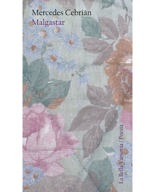 Imagem 0 de Malgastar