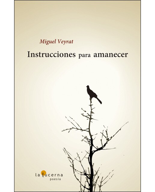 Imagen 0 de Instrucciones para amanecer (Tapa blanda)