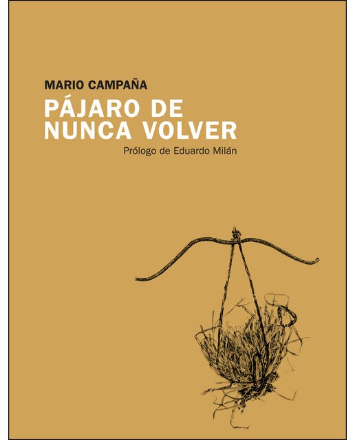 Imagen 0 de Pájaro de nunca volver (Tapa blanda)