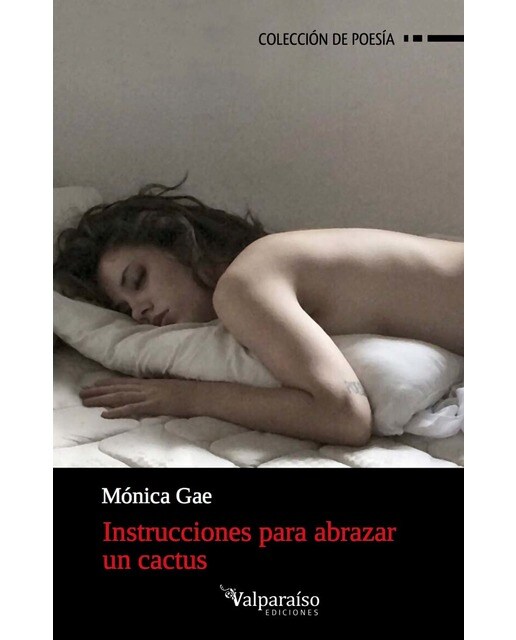 Instrucciones para abrazar un cactus (Capa mole com abas) 1