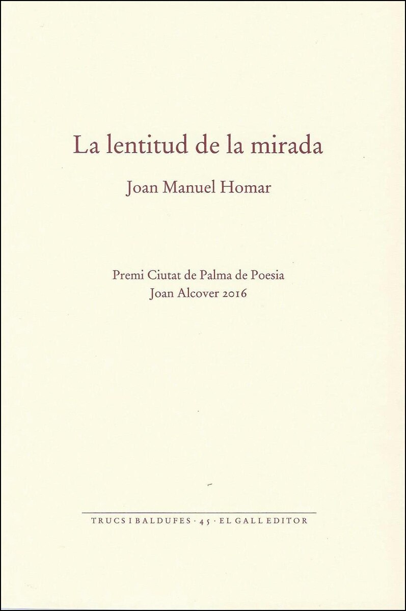 La lentitud de la mirada(Tapa blanda) 1