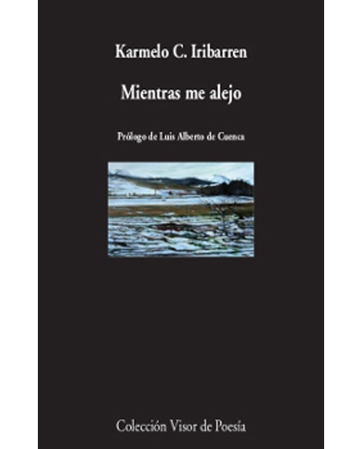 Imagen 0 de Mientras me alejo (Tapa blanda)