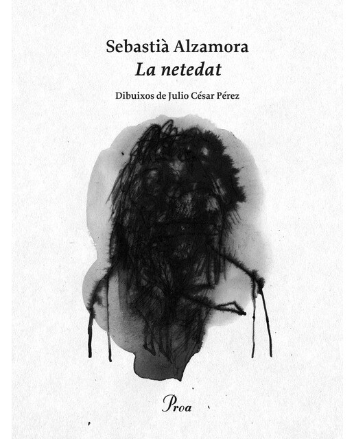 Imagen 0 de La netedat (Tapa blanda Tapa blanda con solapas)
