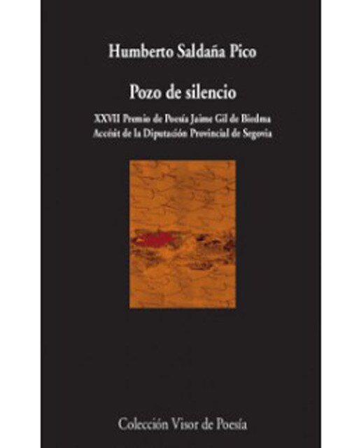 Imagen 0 de Pozo de silencio (Tapa blanda)