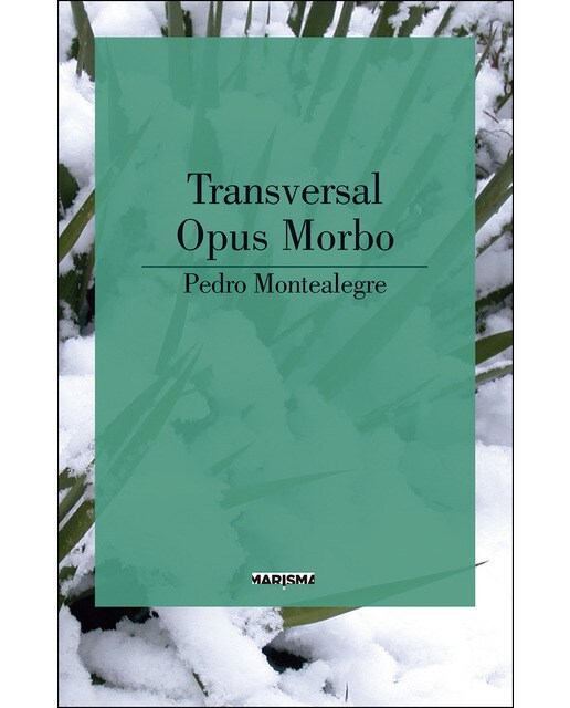 Imagen 0 de Transversal/ opus morbo (Tapa blanda)