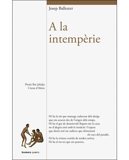 Imagen 0 de A la intempèrie (Tapa blanda)