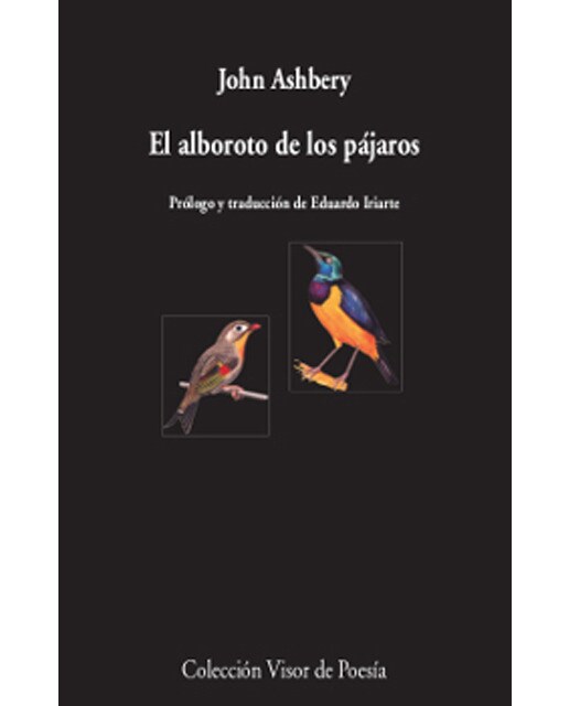 Imagen 0 de El alboroto de los pájaros (Tapa blanda)