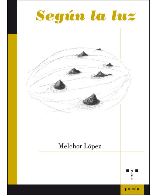 Imagen 0 de Según la luz  (Tapa blanda con solapas)