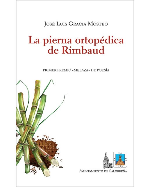La pierna ortopédica de rimbaud