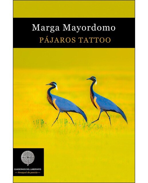 Pájaros tattoo (Tapa blanda) 1
