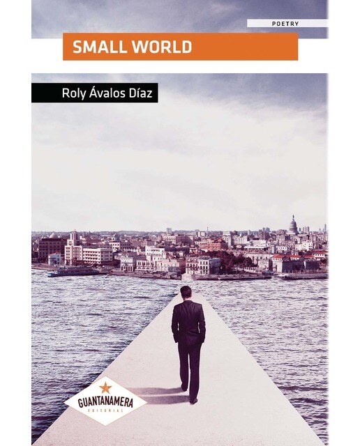 Small World (Capa mole) 1