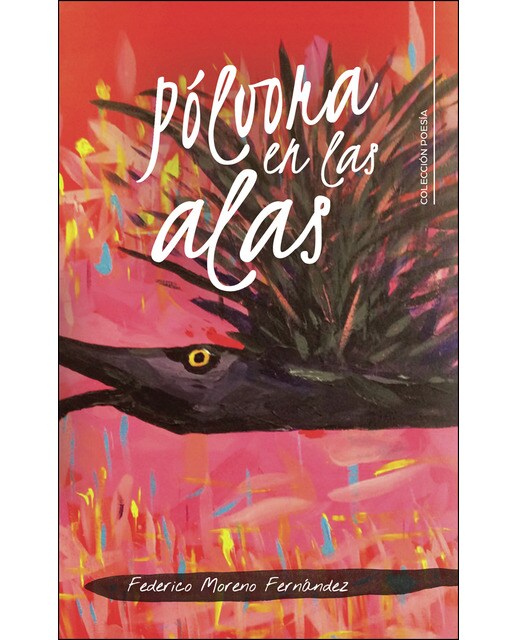 Imagen 0 de Pólvora en las alas (Tapa blanda)