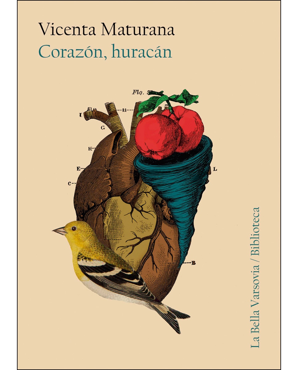 Imagen 1 de La Rosa y el Rosa (Tapa blanda)